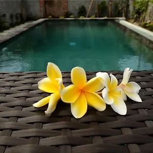 Eka Bali Indonesia